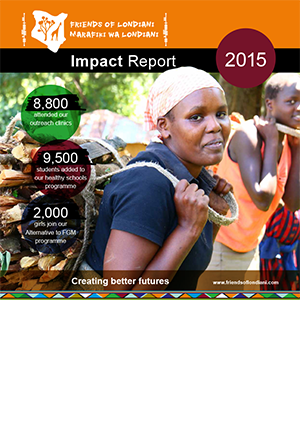 Impact report 2015